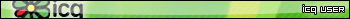  icq