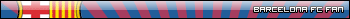 Barcelona fan