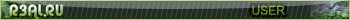 r3al.ru userbar