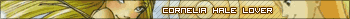 Witch fans - 