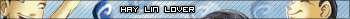 Witch fans -  