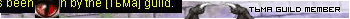  guild member