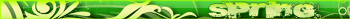 Spirng-