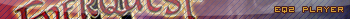 Everquest 2 player