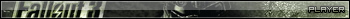 Fallout 3 Player