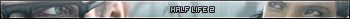 Half Life 2
