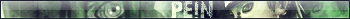 Pein