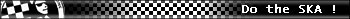 Fan of SKA