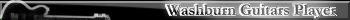 Washburn Guitars Player